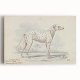 Vintage Animal Art – Handcrafted Dalmatian Dog Illustration