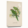 Vintage Animal Art: Parrot Illustration Art Print
