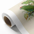 Vintage Animal Art: Parrot Illustration Art Print