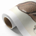 Vintage Animal Art - Retro White Bandied Eagle Illustration