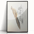 Vintage Animal Art: Centropus Cuckoo Bird Illustration Print