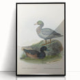 Vintage Animal Art: Duck Illustration Art Print