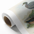 Vintage Animal Art: Duck Illustration Art Print