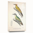 Vintage Animal Art: Nepal & Moustache Woodpecker Illustration Print