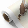 Vintage Animal Art - Quail Illustration Print