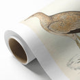 Vintage Animal Art: Marbled Bustard Illustration