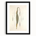 Vintage Animal Art – Exotic Pipefish Illustration Wall Print