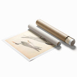 Vintage Animal Art – Elegant Tern Bird Illustration Wall Print