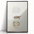 Vintage Animal Art – Baska Terrapin Turtle Illustration Print