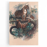Vintage Animal Art – Clouded Leopard Illustration Wall Print