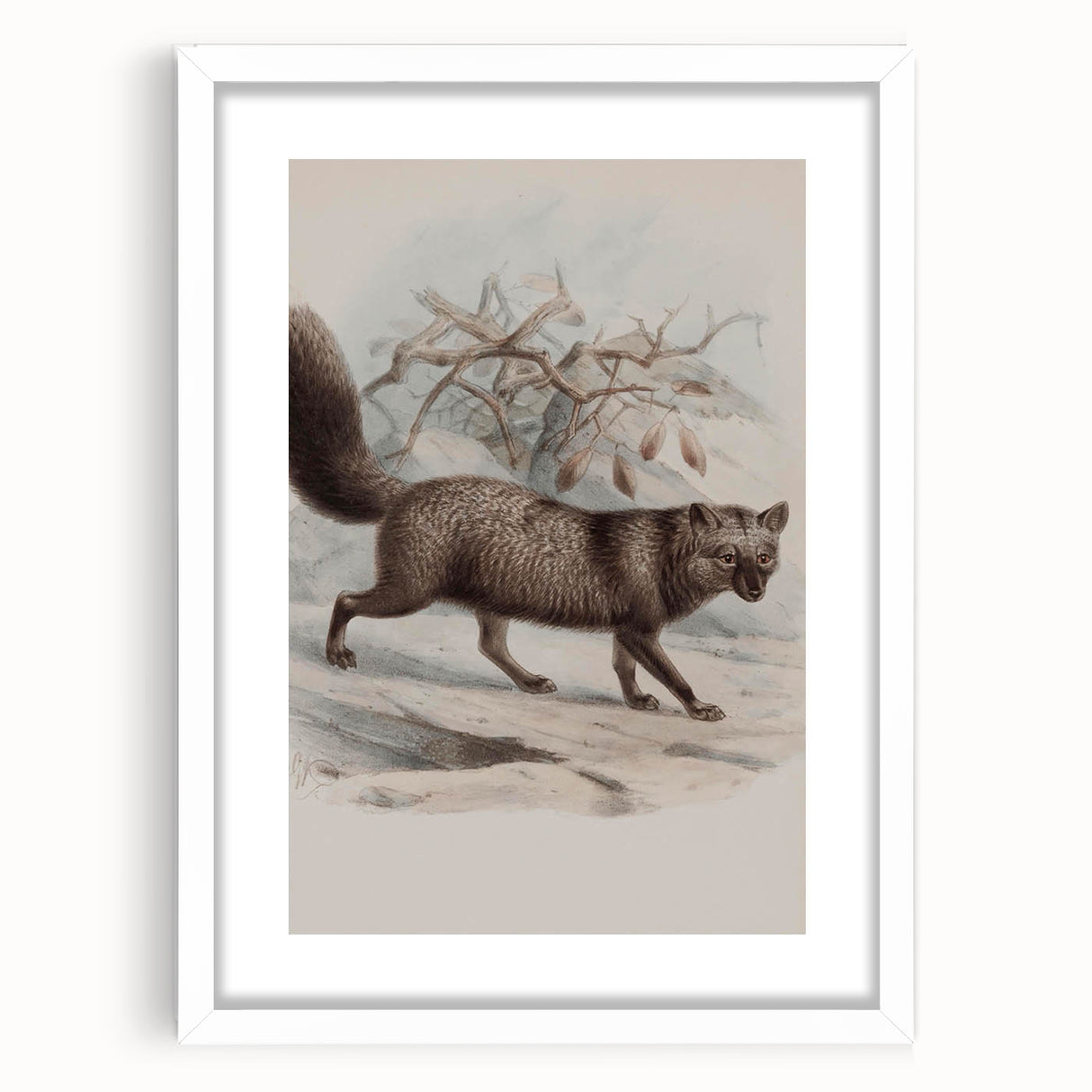 Vintage Fox Illustration – Classic Animal Wall Art Print