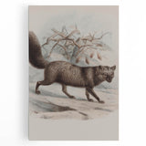 Vintage Fox Illustration – Classic Animal Wall Art Print