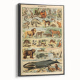Vintage Animal Art: Retro Mammal Illustration Wall Print
