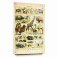 Vintage Animal Art: Retro Giraffe & Wildlife Illustration Print