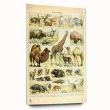 Vintage Animal Art: Retro Giraffe & Wildlife Illustration Print