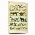 Vintage Animal Art: Retro Farm & Domestic Mammals Illustration