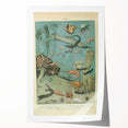 Vintage Animal Art: Deep-Sea Creatures & Ocean Life Illustration