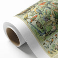 Vintage Animal Art: Retro Birds & Parrots Illustration Print