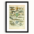 Retro Animal Illustrations: Vintage Fish Art for Home Decor