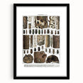 Vintage Insect Art - Detailed Xylophages Insect Illustration Print
