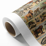 Vintage Animal Art: Timeless Wildlife Illustration Prints