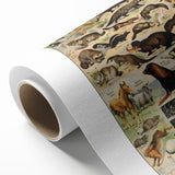 Vintage Animal Art: Detailed Wildlife Illustration Prints