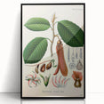 Vintage Botanical Illustration Art | Nature-Inspired Wall Art