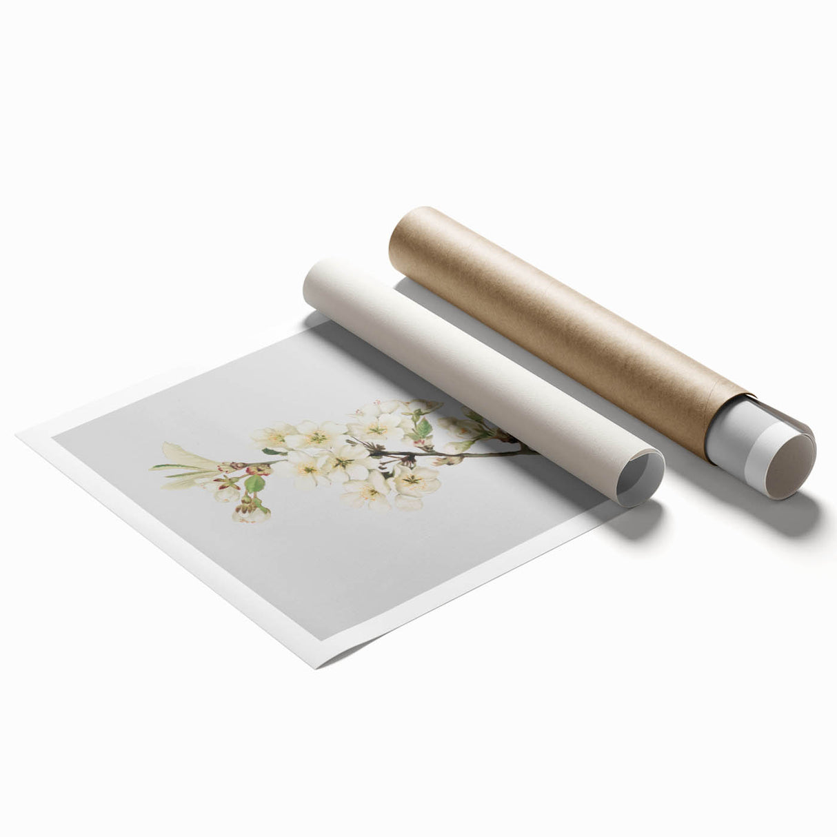 Delicate Cherry Blossom Art Prints: Elegant Floral Wall Art