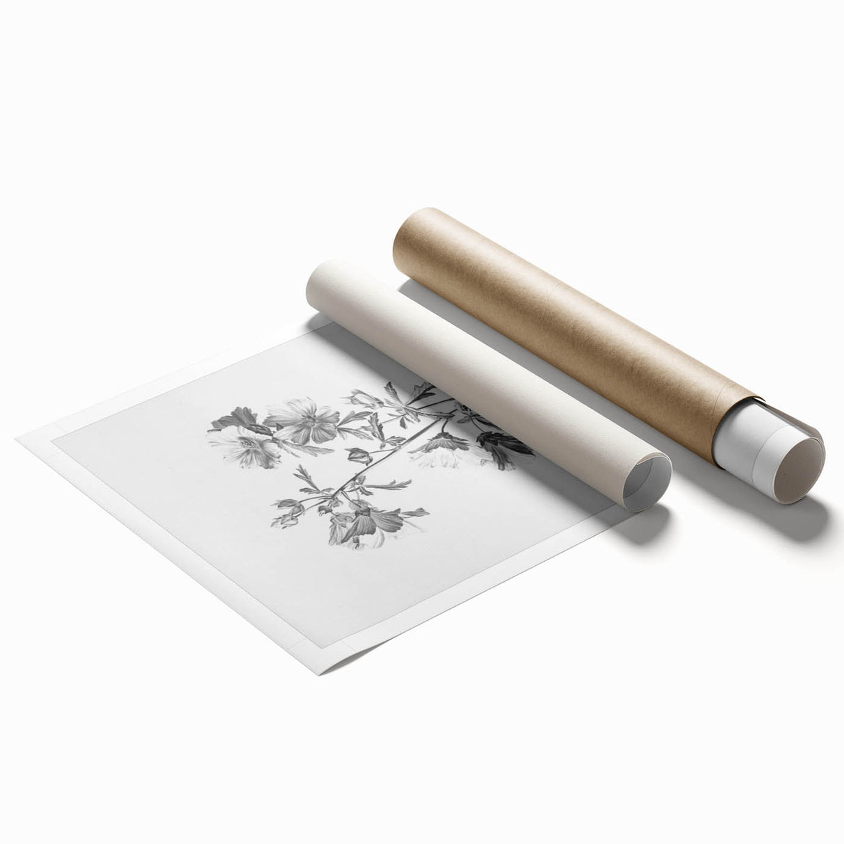 Botanical Art Print – Floral Illustration of Wild Flowers