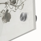 Black and White Botanical Art Prints: Elegant Nasturtium Wall Art