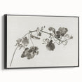 Black and White Botanical Art Prints: Elegant Nasturtium Wall Art