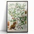 Botanical Art Prints – Vintage Botanical Illustration Art