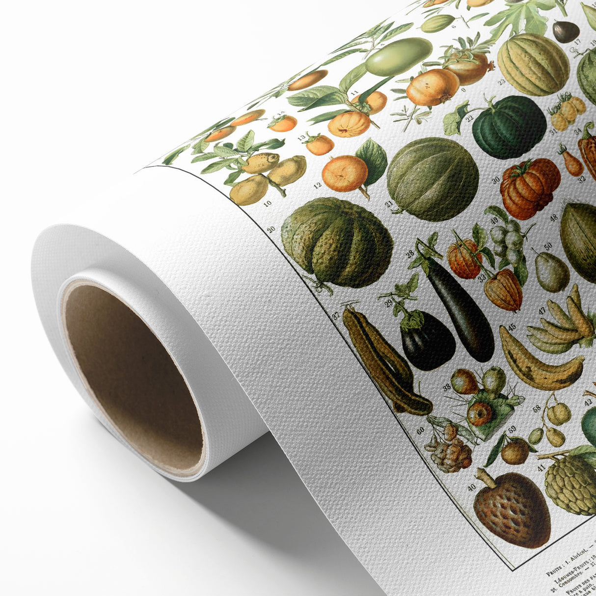 Vintage Botanical Art Prints – Nature-Inspired Fruit Illustration