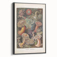 Sea Anemones Art Print – Vintage Haeckel Actinia Illustration