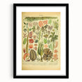 Algae Art Print – Vintage Botanical Algae Illustration