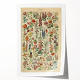 Flower Art Print – Vintage Botanical Flower Illustration