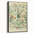 Flower Art Print – Vintage Botanical Flower Illustration