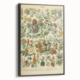 Flower Art Print – Vintage Botanical Flower Illustration