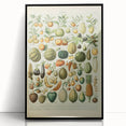 Vintage Botanical Art Prints: Fresh Fruit Illustration Wall Art