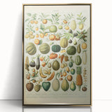 Vintage Botanical Art Prints: Fresh Fruit Illustration Wall Art