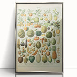 Vintage Botanical Art Prints: Fresh Fruit Illustration Wall Art