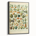 Vintage Botanical Art Prints: Fresh Fruit Illustration Wall Art