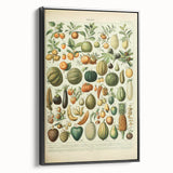 Vintage Botanical Art Prints: Fresh Fruit Illustration Wall Art