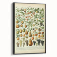 Vintage Botanical Art Prints: Elegant Fruit Illustration Wall Art
