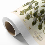Botanical Art Prints: Vintage Botanical Illustration Art