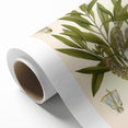 Vintage Botanical Illustration of Melaleuca Art Print