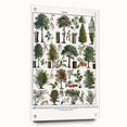 Vintage Botanical Illustration of Diverse Trees Art Print