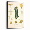 Vintage Botanical Illustration of Cactus Flower Art Print