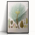 Vintage Botanical Illustration of Pinus Laricio Art Print