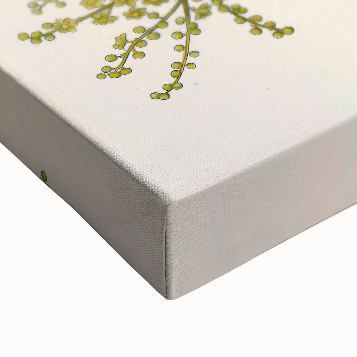 Vintage Botanical Illustration of Anamirta paniculata Art Print